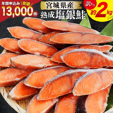 訳あり 宮城県産 熟成 銀鮭 切身 約2k