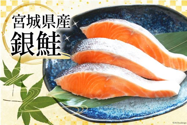 宮城県気仙沼市のふるさと納税 訳あり 宮城県産 熟成 銀鮭 切身 約2kg [宮城東洋 宮城県 気仙沼市 20563343] 鮭 海鮮 魚介類 国産 さけ 鮭 甘口 サケ 鮭切身 シャケ 切り身 冷凍 おかず 弁当 支援 事業者支援 サーモン 魚 銀鮭切り身
