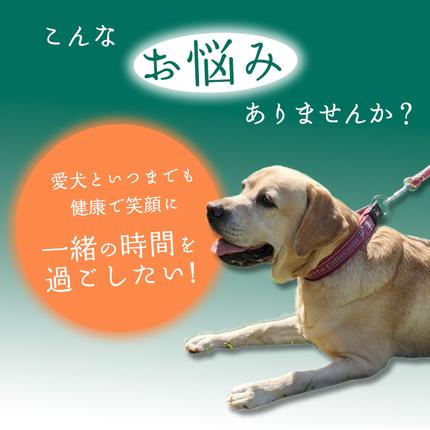 無添加 犬用 おやつ 鹿骨ジャーキー 200g 鹿 ジャーキー ペット