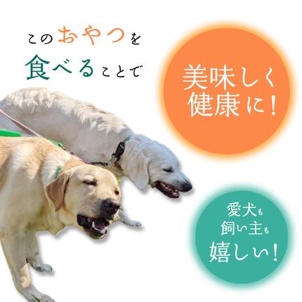 無添加 犬用 おやつ 鹿骨ジャーキー 200g 鹿 ジャーキー ペット