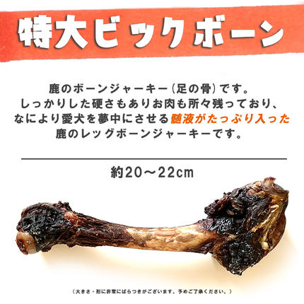 無添加 大型犬用 おやつ 鹿骨ビッグボーン 小 （大腿骨） 鹿骨
