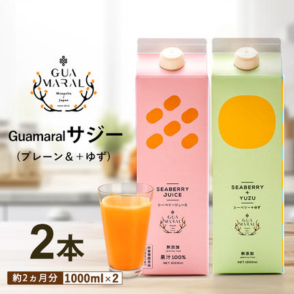 茨城県古河市のふるさと納税 サジージュース 100%と+ゆず 1000ml×各1本セット（計2本） | サジージュース サジー シーベリー 沙棘 グアマラル 健康ドリンク ドリンク ジュース 健康 美容 栄養 果汁 鉄分補給 栄養補給 健康食品 飲みくらべ セット  贈答 贈り物 プレゼント ギフト 茨城県 古河市 送料無料 _DX06
