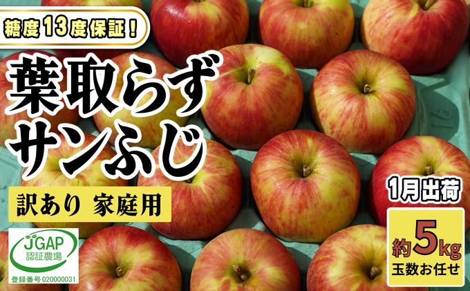 1月発送【 糖度保証 】家庭用 葉取らず サンふじ 約 5kg【 訳あり 】鶴