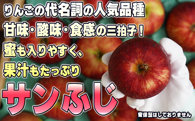 青森県鶴田町のふるさと納税  2月発送【 糖度保証 】家庭用 葉取らず サンふじ 約 5kg【 訳あり 】鶴翔りんごGAP部会 青森県産 津軽産 リンゴ 林檎 果物 フルーツ デザート 甘味