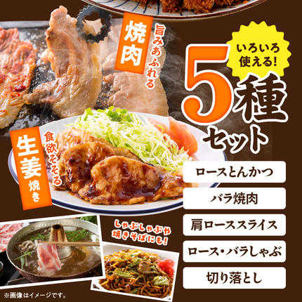 宮崎県都城市のふるさと納税 「高城の里」わくわく4.1kgセット(真空)_22-8401-s