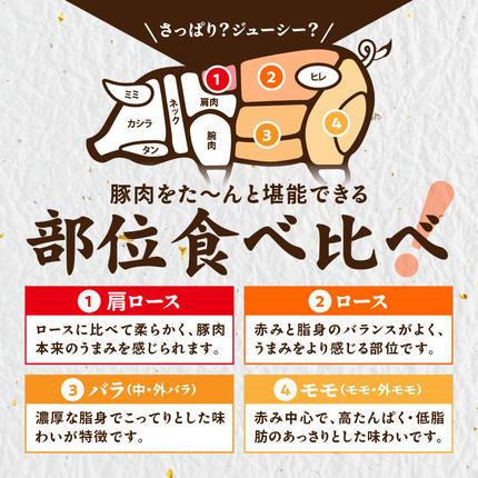 宮崎県都城市のふるさと納税 「高城の里」わくわく4.1kgセット(真空)_22-8401-s
