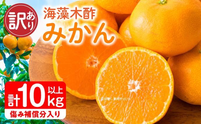 【セゾン限定】訳あり 海藻木酢みかん 計 