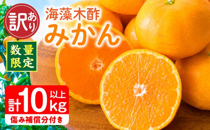 【セゾン限定】訳あり 数量限定 海藻木酢み