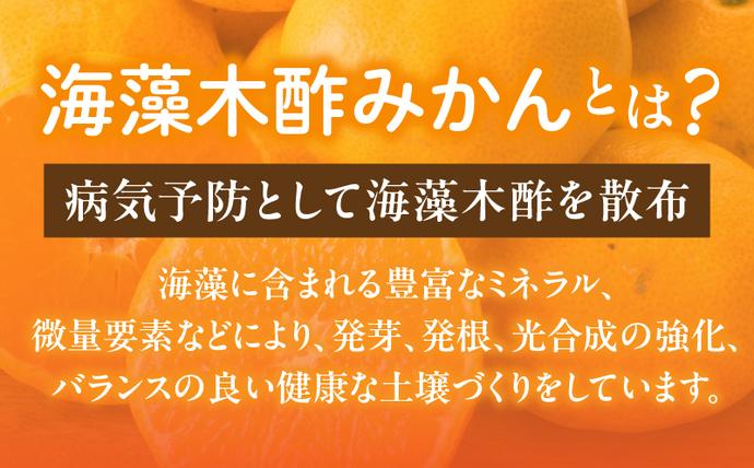 セゾン限定】訳あり 数量限定 海藻木酢みかん 計 10kg 以上 傷み補償分