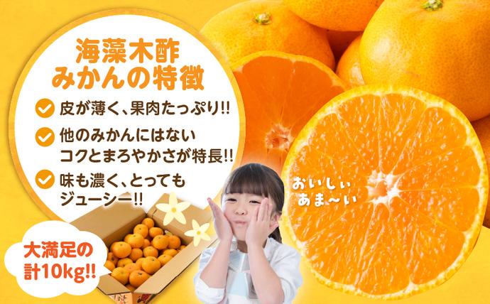 セゾン限定】訳あり 数量限定 海藻木酢みかん 計 10kg 以上 傷み補償分