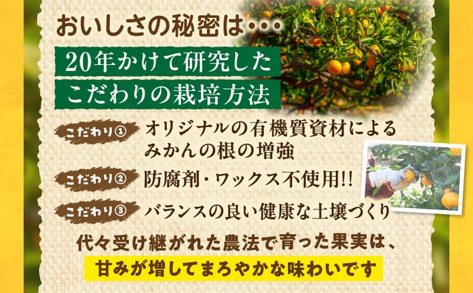 ⚠️栽培用　常温発送⚠️ クレソン茎根　10キロ目安　 湧き水育ち　みかん箱2箱分 セゾン限定】訳あり 数量限定 海藻木酢みかん 計 10kg 以上 傷み補償分