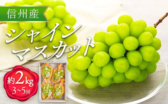 シャインマスカット 2kg 3～5房 ぶど