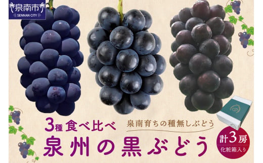 大阪府泉南市のふるさと納税 泉州ぶどう 泉州の黒ぶどう3種食べ比べセット【065C-002】