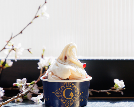 長野県軽井沢町のふるさと納税 ジェラート 本格イタリアンジェラート ギフト パック 12個 スイーツ 詰め合わせ