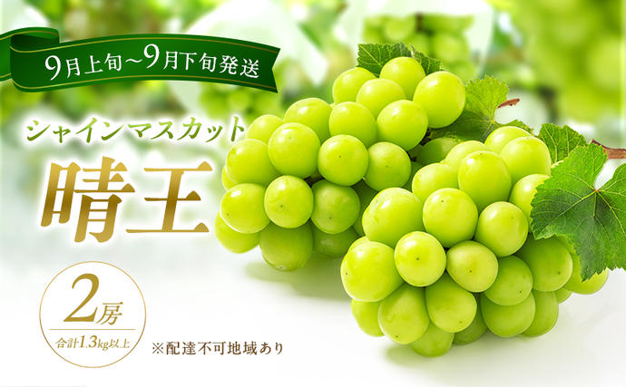 岡山県赤磐市のふるさと納税 ぶどう 2026年 先行予約 シャイン マスカット 晴王 2房 合計1.3kg以上 2026年9月上旬～9月下旬発送分 ブドウ 葡萄 岡山県 赤磐市産 国産 フルーツ 果物 ギフト 赤坂青空市 種無し