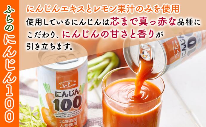 北海道富良野市のふるさと納税 【 6ヵ月 定期便 】ふらの にんじん100 160g×30本入　野菜  ジュース  (ジュース 野菜ジュース 飲み物 缶 北海道 送料無料 道産 富良野市 ふらの)