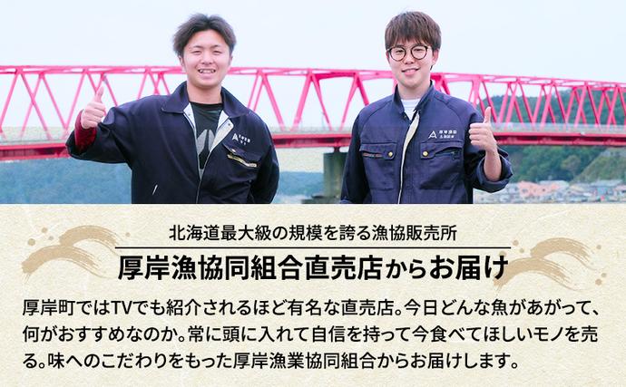 北海道厚岸町のふるさと納税 先行予約 産地直送 北海道 厚岸産 刺身用 鮮さんま 2kg（16～20尾） サンマ 秋刀魚 さんま 鮮魚 魚介類 海産 生さんま