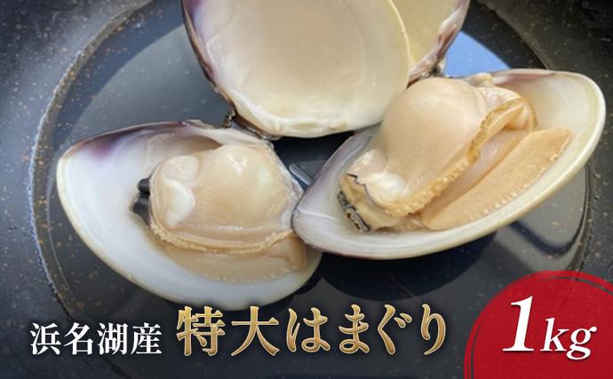 浜名湖産 特大はまぐり 1kg【配送不可：北海道・沖縄・離島】 たっぷり