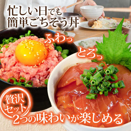 高知県芸西村のふるさと納税 KYF142　ネギトロ80gx6P＋漬け鮪丼90gx6P 冷凍配送 簡易包装 小分け 惣菜 人気 海鮮 ネギトロ丼 まぐろたたき 海鮮丼 便利 かんたん 自然解凍 個食 一人暮らし どんぶり 漬け丼 お手軽