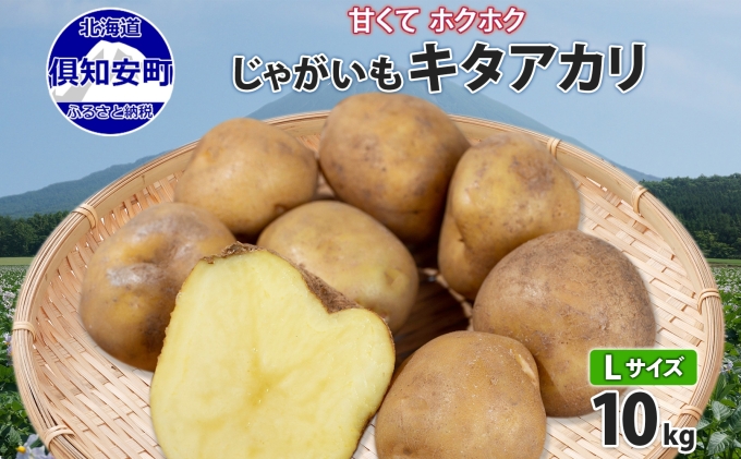 北海道産 じゃがいも キタアカリ Lサイズ 10kg 馬鈴薯 きたあかり 北