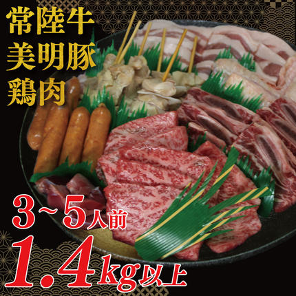 茨城県行方市のふるさと納税 DT-59　バーベキューセット（3～5人前）【合計１.４kg以上】