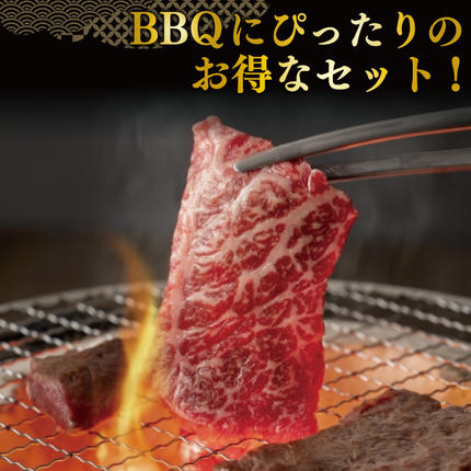 茨城県行方市のふるさと納税 DT-59　バーベキューセット（3～5人前）【合計１.４kg以上】