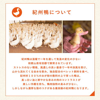 和歌山県湯浅町のふるさと納税 AK6006n_紀州鴨セット（ローススライス300g モモスライス300g つくね200g）※到着希望日（時期）指定不可