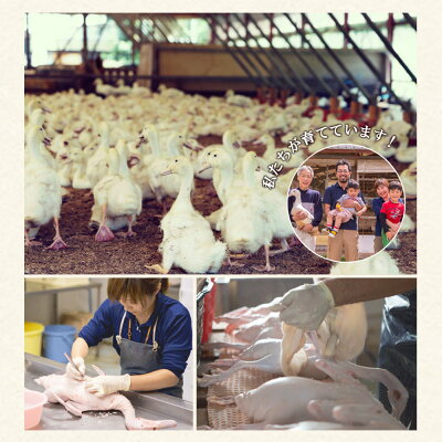 和歌山県湯浅町のふるさと納税 AK6006n_紀州鴨セット（ローススライス300g モモスライス300g つくね200g）※到着希望日（時期）指定不可