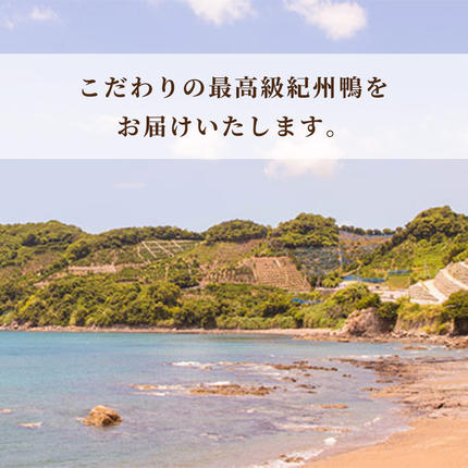 和歌山県湯浅町のふるさと納税 AK6006n_紀州鴨セット（ローススライス300g モモスライス300g つくね200g）※到着希望日（時期）指定不可