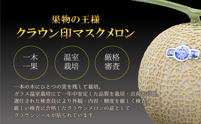 静岡県浜松市のふるさと納税 厳選 メロン クラウンメロン 山等級 1.4kg以上 2玉 フルーツ 果物 くだもの 高級フルーツ 高級果物 季節のフルーツ 季節の果物 旬のフルーツ 旬の果物 マスクメロン 青肉 めろん 静岡メロン 静岡 静岡県 浜松市 【配送不可：離島】