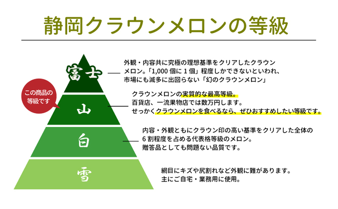 静岡県浜松市のふるさと納税 厳選 メロン クラウンメロン 山等級 1.4kg以上 2玉 フルーツ 果物 くだもの 高級フルーツ 高級果物 季節のフルーツ 季節の果物 旬のフルーツ 旬の果物 マスクメロン 青肉 めろん 静岡メロン 静岡 静岡県 浜松市 【配送不可：離島】