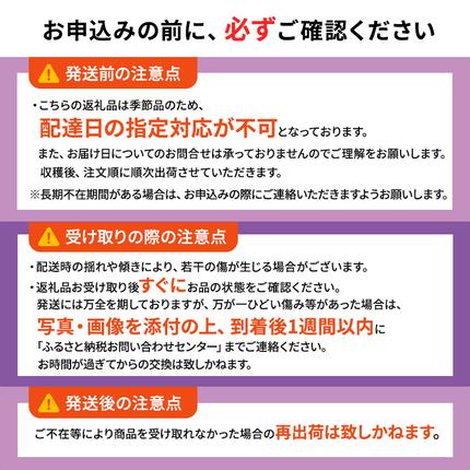 青森県鶴田町のふるさと納税 【 数量限定 】芽実農園 農家直送 スチューベン 約 2kg【 9月 ～ 1月発送 】青森県鶴田町産 果物 フルーツ ぶどう おやつ デザート 食後 冬ぶどう