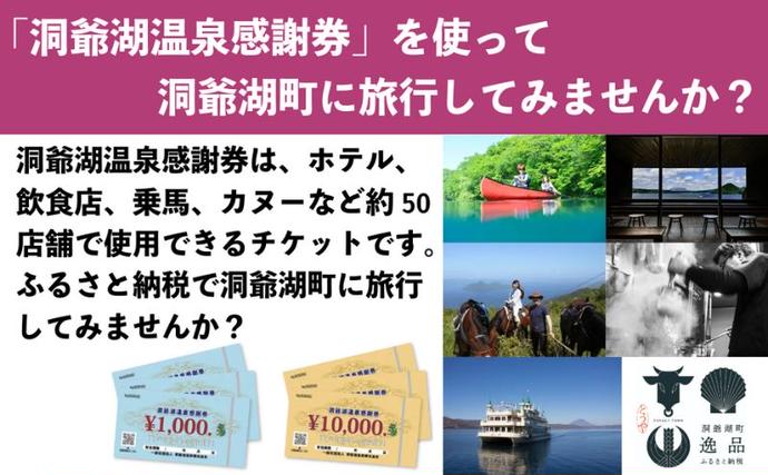 北海道洞爺湖町のふるさと納税 洞爺湖温泉感謝券 10000円 分 金券 クーポン 洞爺湖 湖 温泉 リゾート 有珠山 火山 自然 花火 イルミネーション 旅行 観光 宿泊 施設 北海道