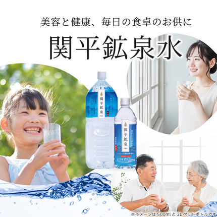 鹿児島県霧島市のふるさと納税 A0-360 関平鉱泉水(ペットボトル)2L×10本！霧島山麓の大自然の中から湧出する温泉水♪美容と健康のミネラル成分シリカが豊富なミネラルウォーター【関平鉱泉所】霧島市 シリカ水 天然水