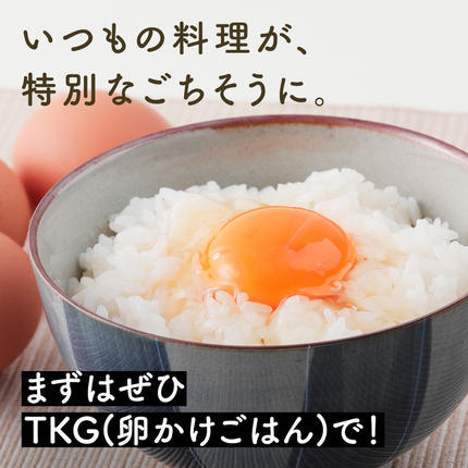 神奈川県伊勢原市のふるさと納税 《2026年4月中旬より順次発送》坂本養鶏 大山の麓で育った さかもとのたまご 80個 (72個＋割れ保証8個)｜伊勢原市 赤玉卵 玉子 鶏卵 生卵 国産 TKG タマゴ 新鮮 大山 鶏 ギフト 安心 安全 親子丼 卵焼き 目玉焼き お菓子 [0926]