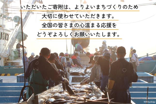 宮城県気仙沼市のふるさと納税 気仙沼市への応援寄附（返礼品はございません） / 宮城県 気仙沼市 [20561928]