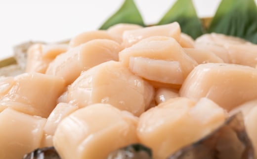 北海道紋別市のふるさと納税 27-57 大粒！冷凍帆立貝柱500ｇ×2(計1kg) ｜ ホタテ ほたて 玉冷