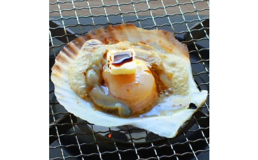 北海道紋別市のふるさと納税 15-293 北海道産ホタテハーフシェル【BBQ用片殻付きほたて】