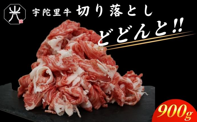 奈良県宇陀市のふるさと納税 チルド 大和 宇陀里牛 切り落とし ドドンと 約900g ／ ふるさと納税 ふるさと 牛肉 肉 和牛 奈良県 宇陀市 光福久屋