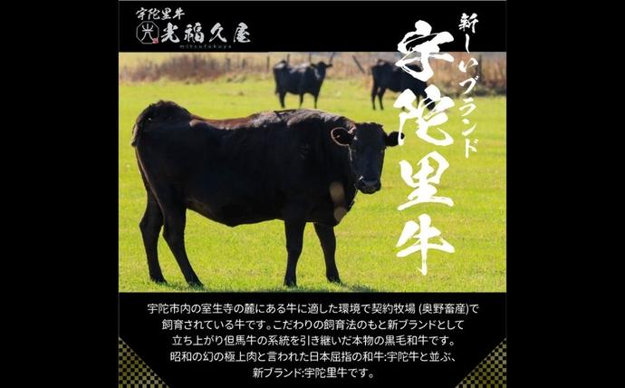 奈良県宇陀市のふるさと納税 チルド 大和 宇陀里牛 切り落とし ドドンと 約900g ／ ふるさと納税 ふるさと 牛肉 肉 和牛 奈良県 宇陀市 光福久屋