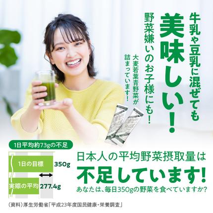 愛知県小牧市のふるさと納税 【徳用】山本漢方の大麦若葉100％青汁（154スティック入り）[027Y01]
