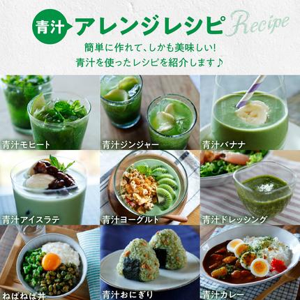 愛知県小牧市のふるさと納税 【徳用】山本漢方の大麦若葉100％青汁（154スティック入り）[027Y01]