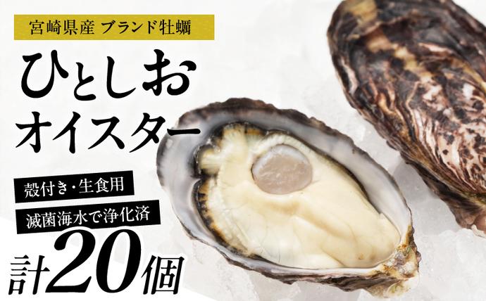 宮崎県日南市のふるさと納税 数量限定 宮崎県産 ブランド 牡蠣 ひとしおオイスター 計20個 魚介 魚貝 かき 生食用 殻付き 国産 おかず おつまみ 食品 海鮮 海産物 シーフード BBQ バーベキュー アウトドア グランピング 海の幸 養殖 絶品 贅沢 ご褒美 お取り寄せ グルメ 日南市 送料無料_CB81-23