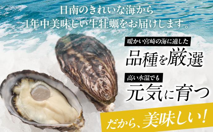 宮崎県日南市のふるさと納税 数量限定 宮崎県産 ブランド 牡蠣 ひとしおオイスター 計20個 魚介 魚貝 かき 生食用 殻付き 国産 おかず おつまみ 食品 海鮮 海産物 シーフード BBQ バーベキュー アウトドア グランピング 海の幸 養殖 絶品 贅沢 ご褒美 お取り寄せ グルメ 日南市 送料無料_CB81-23