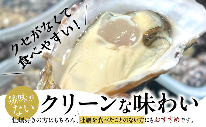 宮崎県日南市のふるさと納税 数量限定 宮崎県産 ブランド 牡蠣 ひとしおオイスター 計20個 魚介 魚貝 かき 生食用 殻付き 国産 おかず おつまみ 食品 海鮮 海産物 シーフード BBQ バーベキュー アウトドア グランピング 海の幸 養殖 絶品 贅沢 ご褒美 お取り寄せ グルメ 日南市 送料無料_CB81-23
