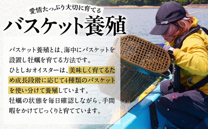 宮崎県日南市のふるさと納税 数量限定 宮崎県産 ブランド 牡蠣 ひとしおオイスター 計20個 魚介 魚貝 かき 生食用 殻付き 国産 おかず おつまみ 食品 海鮮 海産物 シーフード BBQ バーベキュー アウトドア グランピング 海の幸 養殖 絶品 贅沢 ご褒美 お取り寄せ グルメ 日南市 送料無料_CB81-23