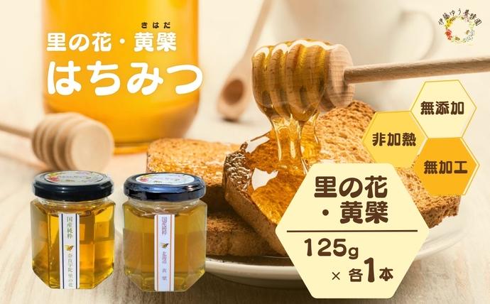 国産 純粋 はちみつ 里の花 125g 黄