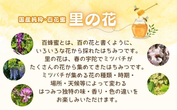 奈良県宇陀市のふるさと納税 国産 純粋 はちみつ 里の花 125g 黄檗 125g (各1本)／ 蜂蜜 ハチミツ 非加熱 無添加 無加工 百花蜜 単花蜜 キハダ お取り寄せ 伊藤ゆう養蜂園 奈良県 宇陀市 ふるさと納税