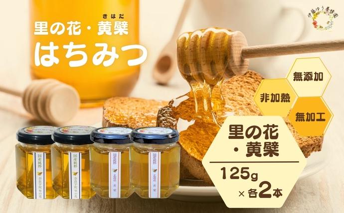 国産 純粋 はちみつ 里の花 125g 黄檗 125g (各1本)／ 蜂蜜 ハチミツ