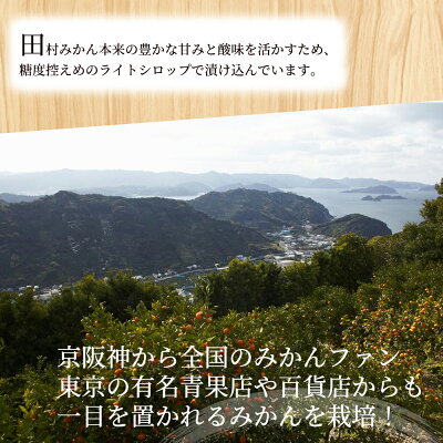 和歌山県湯浅町のふるさと納税 田村みかん 缶詰 8缶セット【フルーツ缶 フルーツ缶詰 みかん 有田みかん 和歌山産】_AY6004n